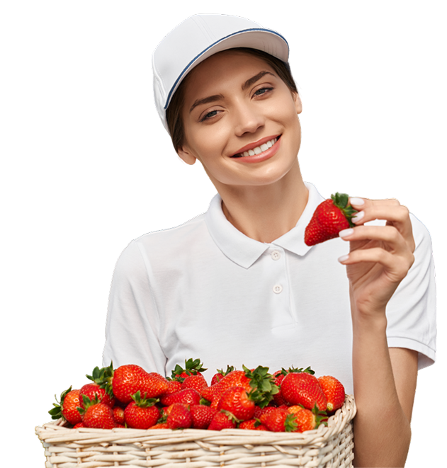 грядки недорого от производителя